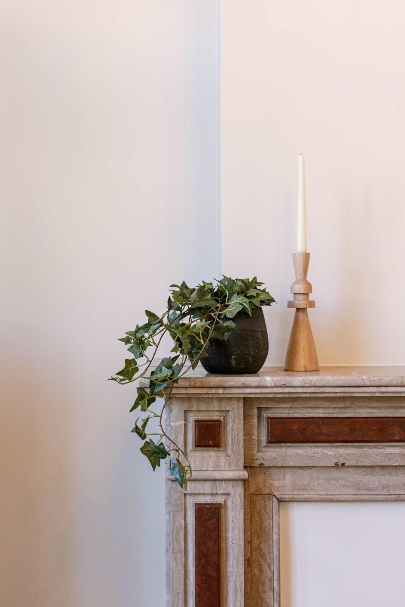 Huswell - Cape Montigny - A Beautifully Renovated Historic In The Heart Of * Gent